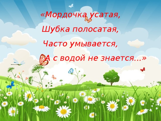 «Мордочка усатая,  Шубка полосатая,  Часто умывается,  А с водой не знается...» 