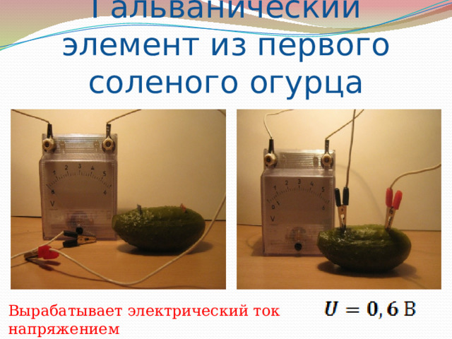 Гальванический элемент из первого соленого огурца Вырабатывает электрический ток напряжением 