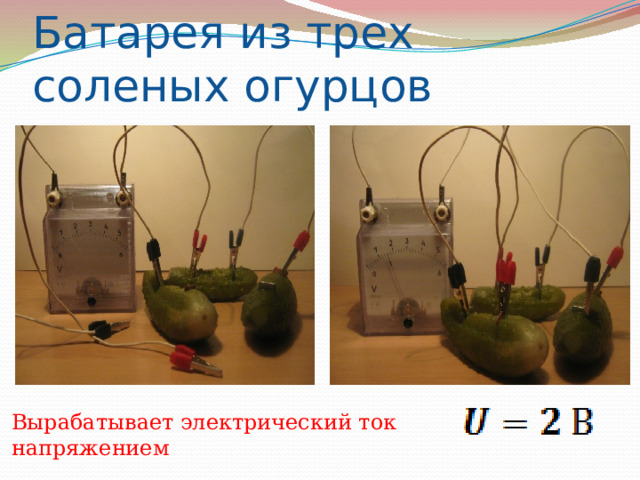 Батарея из трех соленых огурцов Вырабатывает электрический ток напряжением 