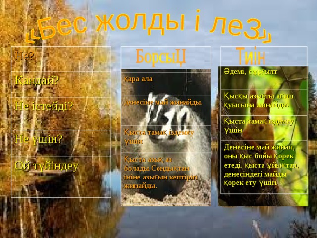 Не? Қандай? қара ала  Әдемі, сұрғылт Қысқы азықты ағаш қуысына жинайды. Не істейді? денесіне май жинайды.  Қыста тамақ іздемеу үшін Не үшін? Қыста тамақ іздемеу үшін  Ой түйіндеу Қыста азық аз болады.Сондықтан ініне азығын кептіріп жинайды.  Денесіне май жинап, оны қыс бойы қорек етеді. қыста ұйықтап, денесіндегі майды қорек ету үшін. 