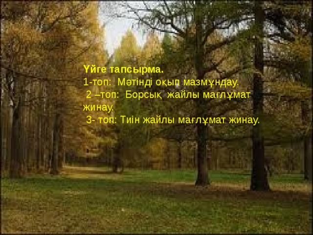 Үйге тапсырма.  1-топ: Мәтінді оқып мазмұндау.  2 –топ: Борсық жайлы мағлұмат жинау.  3- топ: Тиін жайлы мағлұмат жинау. 