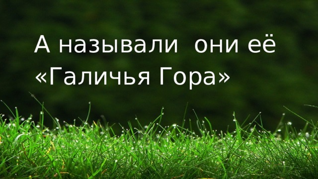 А называли они её «Галичья Гора» 