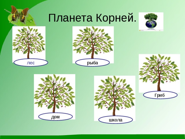 лес рыба дом Гриб школа Планета Корней. 