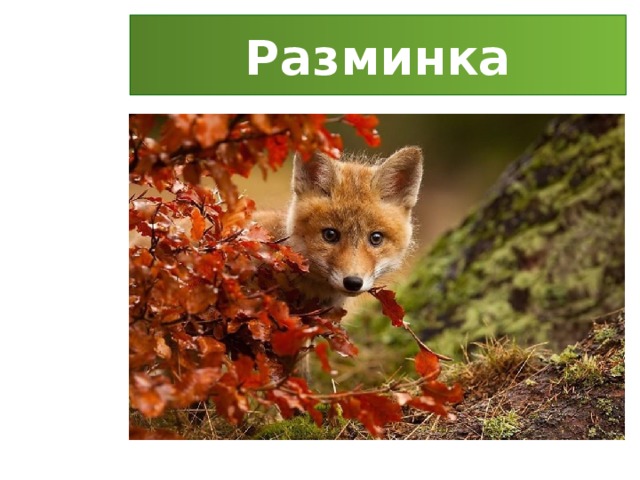 Разминка 