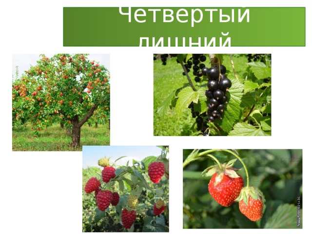 Четвёртый лишний 