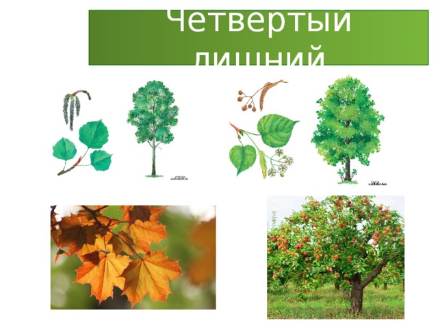 Четвёртый лишний 