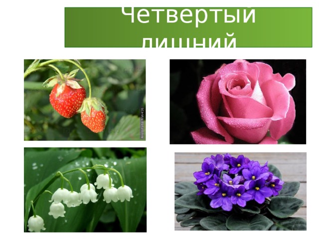 Четвёртый лишний 