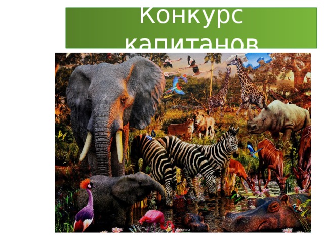 Конкурс капитанов 