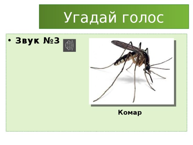 Угадай голос Звук №3 Комар 