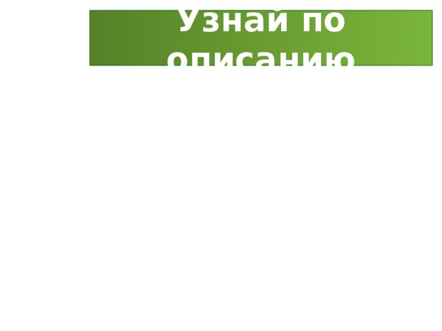 Узнай по описанию 