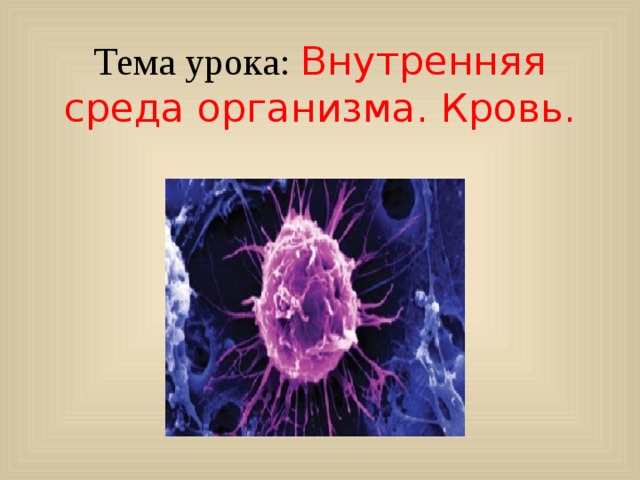 Тема урока: Внутренняя среда организма. Кровь. 