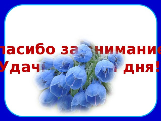         Спасибо за внимание! Удачного Вам дня! цветыhttp://www.playcast.ru/uploads/2015/05/27/13758750.png  