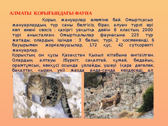 Алматы қорығындағы фауна  Қорық  жануарлар  әлеміне  бай. Омыртқасыз  жануарлардың  түр  саны  белгісіз, бірақ  алуан  түрлі  әрі  көп  екені  сөзсіз : қазіргі  уақытқа  дейін  8  кластың  2000  түрі  анықталған. Омыртқалылар  фаунасына  225  түр  жатады, олардың  ішінде : 3  балық  түрі, 2  қосмекенді, 6 бауырымен  жорғалаушылар, 172 құс, 42 сүтқоректі  жануарлар. Қорықтың  он  құсы  Қазақстан  Қызыл  кітабына  енгізілген. Олардың  алтауы  (бүркіт, сақалтай, құмай, бидайық, орамтұмсық, көкқұс) осында  ұялайды, үшеуі  (қара  дегелек, бақалтақ  қыран, үкі)  жазда  анда-санда  кездеседі, ал  лашын  қыста  ұшып  кетеді. 
