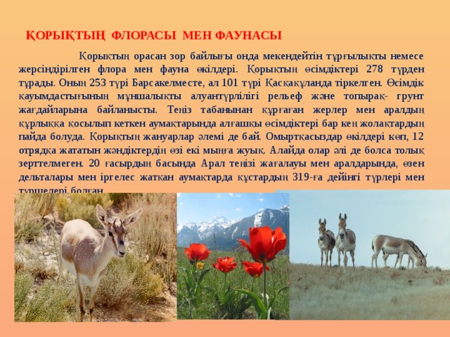 Қорықтың флорасы мен фаунасы  Қорықтың орасан зор байлығы онда мекендейтін тұрғылықты немесе жерсіндірілген флора мен фауна өкілдері. Қорықтың өсімдіктері 278 түрден тұрады. Оның 253 түрі Барсакелместе, ал 101 түрі Қасқақұланда тіркелген. Өсімдік қауымдастығының мұншалықты алуантүрлілігі рельеф және топырақ- грунт жағдайларына байланысты. Теңіз табанынан құрғаған жерлер мен аралдың құрлыққа қосылып кеткен аумақтарында алғашқы өсімдіктері бар кең жолақтардың пайда болуда. Қорықтың жануарлар әлемі де бай. Омыртқасыздар өкілдері көп, 12 отрядқа жататын жәндіктердің өзі екі мыңға жуық. Алайда олар әлі де болса толық зерттелмеген. 20 ғасырдың басында Арал теңізі жағалауы мен аралдарында, өзен дельталары мен іргелес жатқан аумақтарда құстардың 319-ға дейінгі түрлері мен түршелері болған. 