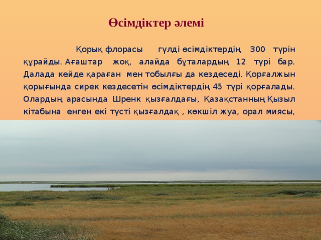 Өсімдіктер әлемі  Қорық флорасы гүлді өсімдіктердің  300 түрін құрайды. Ағаштар  жоқ, алайда бұталардың 12 түрі бар. Далада кейде қараған  мен тобылғы да кездеседі. Қорғалжын қорығында сирек кездесетін өсімдіктердің 45 түрі қорғалады. Олардың арасында Шренк қызғалдағы, Қазақстанның Қызыл кітабына  енген екі түсті қызғалдақ , көкшіл жуа, орал миясы, құмды цмин, дәрілік алтей, қара жусан, ақмия, бозы және дала шатырашы бар. 