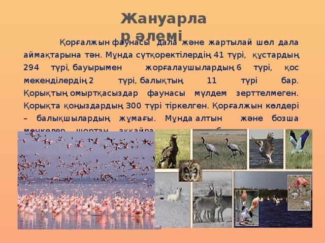 Жануарлар әлемі  Қорғалжын фаунасы  дала және жартылай шөл дала аймақтарына тән. Мұнда сүтқоректілердің 41 түрі,  құстардың 294 түрі, бауырымен жорғалаушылардың 6 түрі, қос мекенділердің 2 түрі, балықтың 11 түрі бар. Қорықтың омыртқасыздар фаунасы мүлдем зерттелмеген. Қорықта қоңыздардың 300 түрі тіркелген. Қорғалжын көлдері – балықшылардың жұмағы. Мұнда алтын және бозша мөңкелер, шортан, аққайран, линь, алабұға және торта балықтар тіршілік етеді. 
