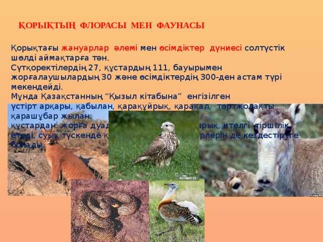 Қорықтың флорасы мен фаунасы Қорықтағы   жануарлар әлемі мен   өсімдіктер дүниесі солтүстік шөлді аймақтарға тән.  Сүтқоректілердің 27, құстардың 111, бауырымен жорғалаушылардың 30 және өсімдіктердің 300-ден астам түрі мекендейді.  Мұнда Қазақстанның “Қызыл кітабына” енгізілген үстірт арқары, қабылан, қарақұйрық, қарақал,  төртжолақты қарашұбар жылан; құстардан: жорға дуадақ, қарабауыр бұлдырық, ителгі  тіршілік етеді, суық түскенде қорықтан ақ бөкен үйірлерін де кездестіруге болады. 
