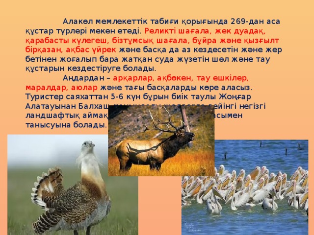   Алакөл мемлекеттік табиғи қорығында 269-дан аса құстар түрлері мекен етеді. Реликті шағала, жек дуадақ, қарабасты күлегеш, бізтұмсық шағала, бұйра және қызғылт бірқазан, ақбас үйрек және басқа да аз кездесетін және жер бетінен жоғалып бара жатқан суда жүзетін шөл және тау құстарын кездестіруге болады.  Аңдардан – арқарлар, ақбөкен, тау ешкілер, маралдар, аюлар және тағы басқаларды көре аласыз. Туристер саяхаттан 5-6 күн бұрын биік таулы Жоңғар Алатауынан Балхаш маңындағы шөлдерге дейінгі негізгі ландшафтық аймақтың флорасы және фаунасымен танысуына болады. 