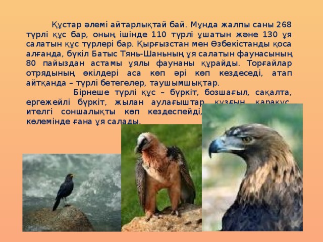  Құстар әлемі айтарлықтай бай. Мұнда жалпы саны 268 түрлі құс бар, оның ішінде 110 түрлі ұшатын және 130 ұя салатын құс түрлері бар. Қырғызстан мен Өзбекістанды қоса алғанда, бүкіл Батыс Тянь-Шаньның ұя салатын фаунасының 80 пайыздан астамы ұялы фаунаны құрайды. Торғайлар отрядының өкілдері аса көп әрі көп кездеседі, атап айтқанда – түрлі бетегелер, таушымшықтар.  Бірнеше түрлі құс – бүркіт, бозшағыл, сақалта, ергежейлі бүркіт, жылан аулағыштар, құзғын, қарақұс, ителгі соншалықты көп кездеспейді, тек энтомофауна көлемінде ғана ұя салады. 