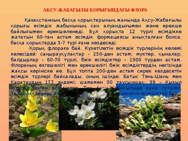 Ақсу-Жабағылы қорығындағы флора  Қазақстанның басқа қорықтарының жанында Ақсу-Жабағылы қорығы өсімдік жабынының сан алуандығымен және ерекше байлығымен ерекшеленеді. Бұл қорықта 12 түрлі өсімдікке жататын 60-тан астам өсімдік формациясы анықталған болса, басқа қорықтарда 5-7 түрі ғана кездеседі.   Қорық флораға бай. Күзетілетін өсімдік түрлерінің көлемі келесідей: саңырауқұлақтар – 250-ден астам; мүктер, қыналар, балдырлар – 60-70 түрлі, биік өсімдіктер – 1300 түрден астам. Флораның өзгешелігі мен ерекшелігі биік өсімдіктердің негізінде жақсы көрініске ие. Бұл топта 200-ден астам сирек кездесетін өсімдік түрлері байқалады, оның ішінде: Батыс Тянь-Шань мен Қаратаудың 177 эндемі; шамамен 30 таусыншақ; 39 – Қызыл кітапқа енген өсімдіктер. Тек Ақсу-Жабағылыда ғана сүтшөп, Талас аққайыңы және т.б. сияқты сирек кездесетін өсімдіктер бар. 
