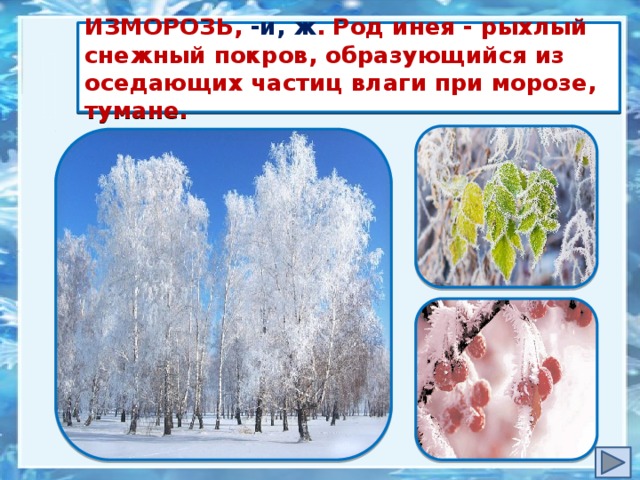 ИЗМОРОЗЬ, -и, ж . Род инея - рыхлый снежный покров, образующийся из оседающих частиц влаги при морозе, тумане.  Деревья - http://проза.рф/pics/2016/11/23/1069.jpg Листья -http://rek.sputnik.fm/files/BCADC3352326464E.jpg Рябина - http://www.interior-design.club/data/attachments/233/233275-2531d04a5b4bd3345277b6c69736ae85.jpg  