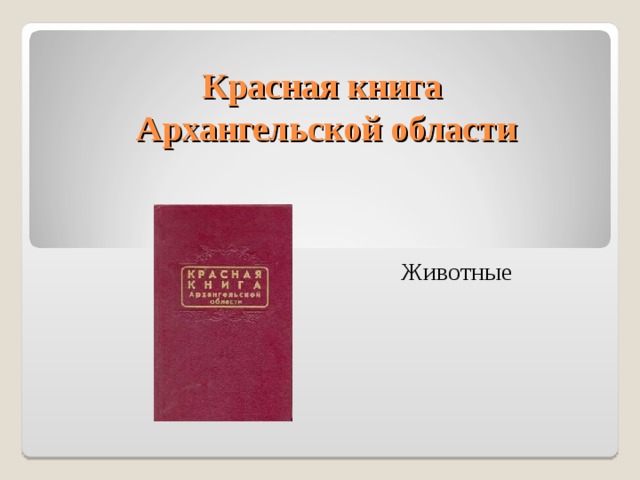 Красная книга  Архангельской области Животные 