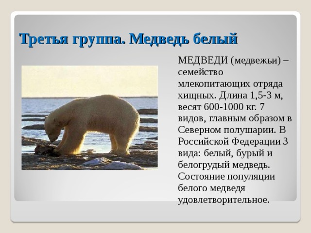 Третья группа. Медведь белый  МЕДВЕДИ (медвежьи) – семейство млекопитающих отряда хищных. Длина 1,5-3 м, весят 600-1000 кг. 7 видов, главным образом в Северном полушарии. В Российской Федерации 3 вида: белый, бурый и белогрудый медведь. Состояние популяции белого медведя удовлетворительное. 