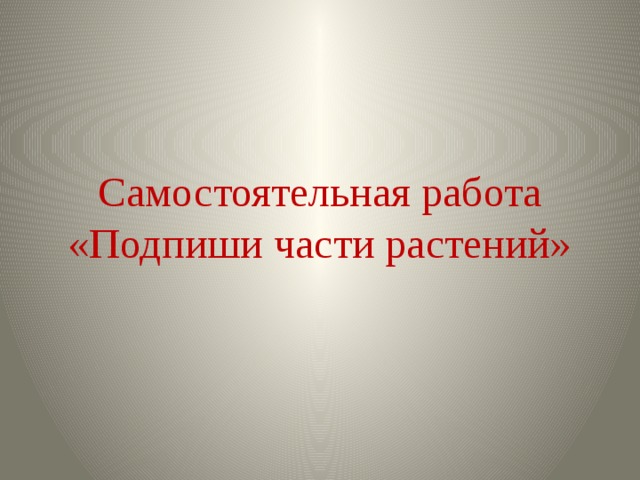 Самостоятельная работа  «Подпиши части растений» 