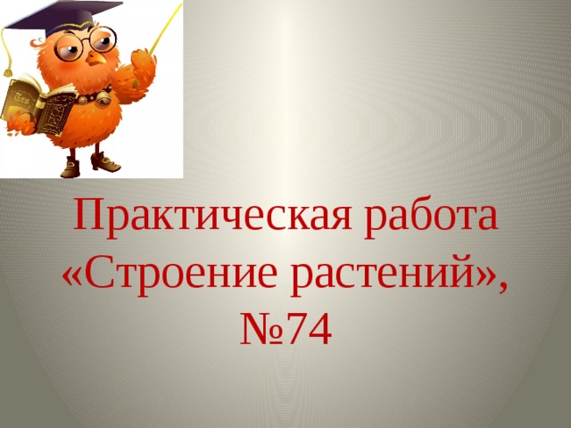 Практическая работа  «Строение растений», №74 