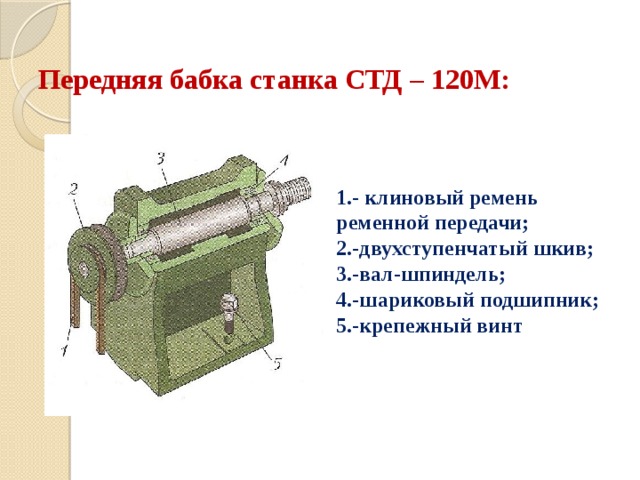 Передняя бабка станка СТД – 120М: 1.- клиновый ремень ременной передачи; 2.-двухступенчатый шкив; 3.-вал-шпиндель; 4.-шариковый подшипник; 5.-крепежный винт 