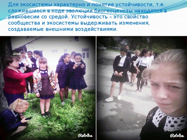 Для экосистемы характерно и понятие устойчивости, т.е. сложившиеся в ходе эволюции биогеоценозы находятся в равновесии со средой. Устойчивость – это свойство сообщества и экосистемы выдерживать изменения, создаваемые внешними воздействиями. 