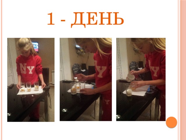 1 - день 