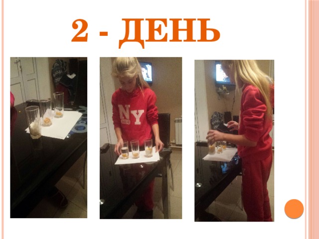 2 - день 