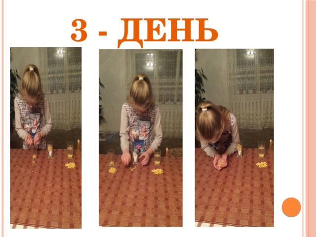 3 - день 