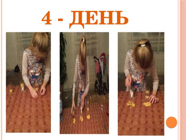 4 - день 