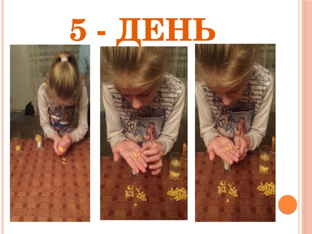5 - день 