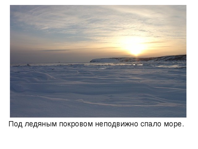 Под ледяным покровом неподвижно спало море. 