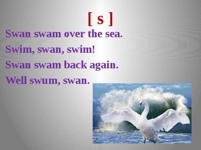 [ s ] Swan swam over the sea. Swim, swan, swim! Swan swam back again. Well swum, swan. 