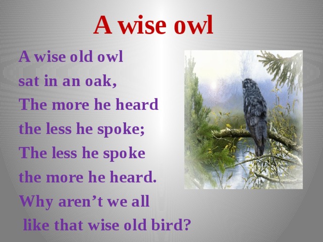 A wise owl A wise old owl sat in an oak, The more he heard the less he spoke; The less he spoke the more he heard. Why aren’t we all  like that wise old bird? 