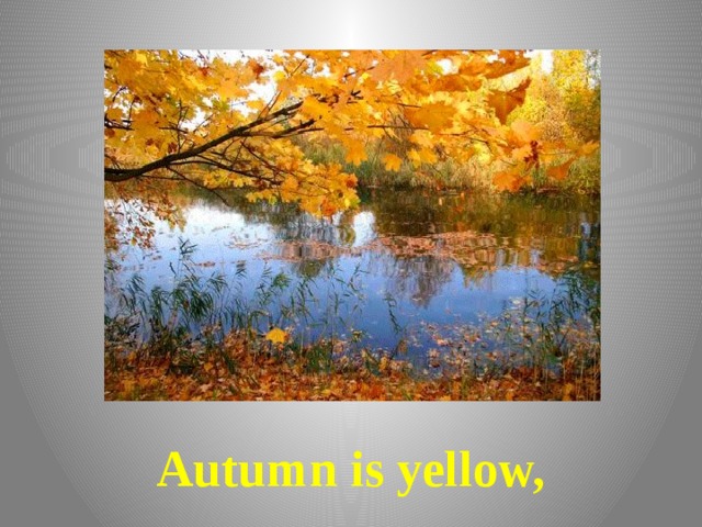        Autumn is yellow, 
