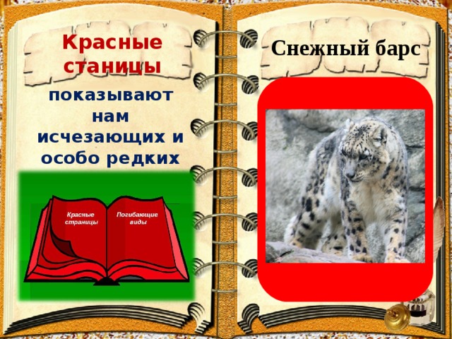    Красные станицы   Снежный барс показывают нам исчезающих и особо редких животных и растений   