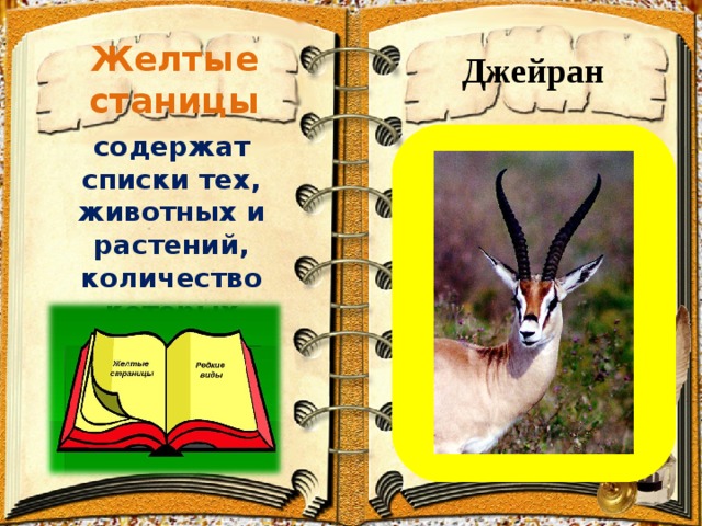 Желтые станицы      Джейран содержат списки тех, животных и растений, количество которых быстро уменьшается   
