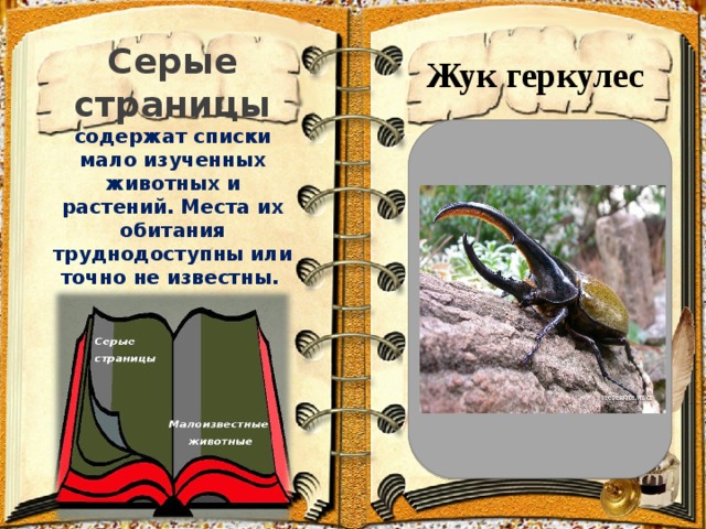 Серые страницы Жук геркулес содержат списки мало изученных животных и растений. Места их обитания труднодоступны или точно не известны.   