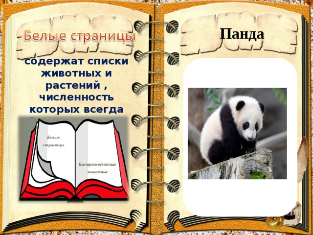 Панда содержат списки животных и растений , численность которых всегда была невелика.  