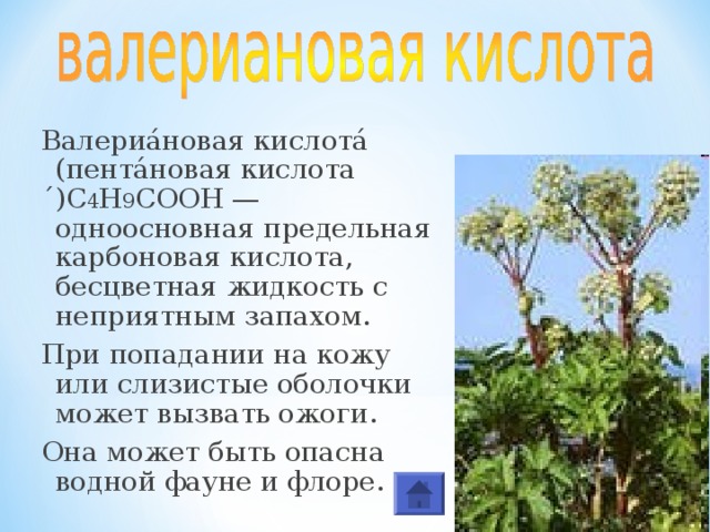 Валериа́новая кислота́ (пента́новая кислота́)С 4 Н 9 COOH —одноосновная предельная карбоновая кислота, бесцветная жидкость с неприятным запахом. При попадании на кожу или слизистые оболочки может вызвать ожоги. Она может быть опасна водной фауне и флоре. 