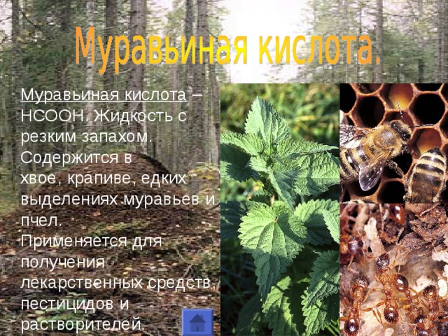 Муравьиная кислота – НСООН. Жидкость с резким запахом. Содержится в хвое, крапиве, едких выделениях муравьев и пчел. Применяется для получения лекарственных средств, пестицидов и растворителей . 