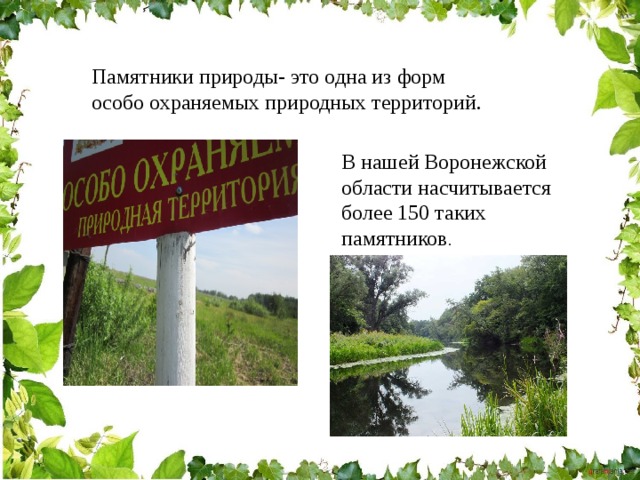 Памятники природы- это одна из форм особо охраняемых природных территорий. В нашей Воронежской области насчитывается более 150 таких памятников . 