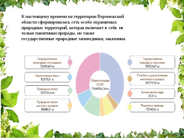 К настоящему времени на территории Воронежской области сформировалась сеть особо охраняемых природных территорий, которая включает в себя не только памятники природы, но также государственные природные заповедники, заказники. 