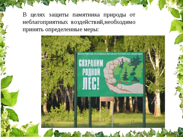 В целях защиты памятника природы от неблагоприятных воздействий,необходимо принять определенные меры: 