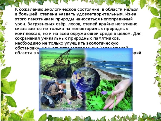 К сожалению,экологическое состояние  в области нельзя в большей  степени назвать удовлетворительным. Из-за этого памятникам природы наноситься непоправимый урон. Загрязнения озёр, лесов, степей крайне негативно сказывается не только на неповторимых природных комплексах, но и на всей окружающей среде в целом. Для сохранения уникальных природных памятников, необходимо не только улучшить экологическую обстановку, но и отнести заповедники Воронежской области в число особо охраняемых природных территорий. 